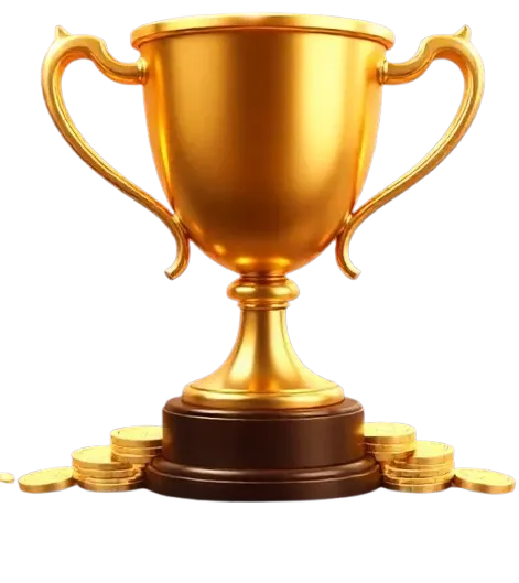 Bajistar About Us Overview